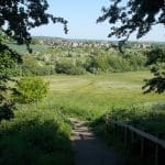 Looking into Large Meadow