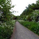 Rennys Lane Summer 2013