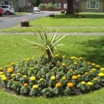 Mill House Court Flowers