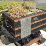 Coal Tub Carrville Flowers